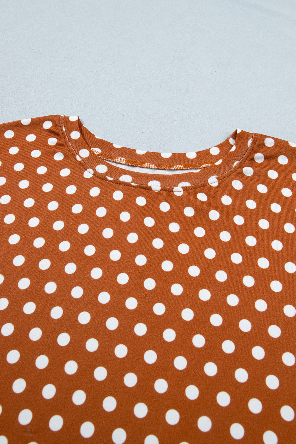 Plus Size 2pc Brown Polka Dot Print Dropped Shoulder Tee & Shorts Set